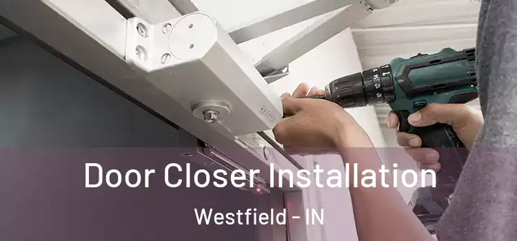  Door Closer Installation Westfield - IN