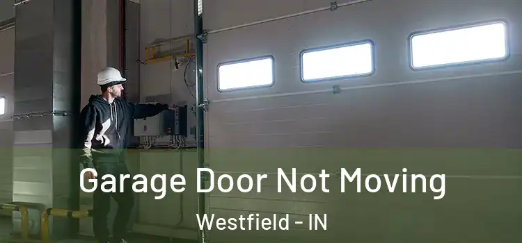  Garage Door Not Moving Westfield - IN