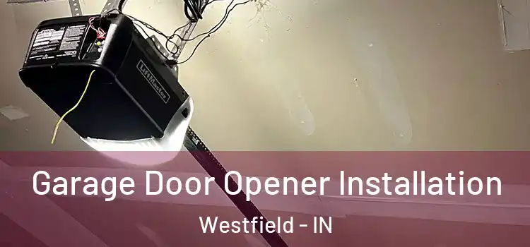  Garage Door Opener Installation Westfield - IN