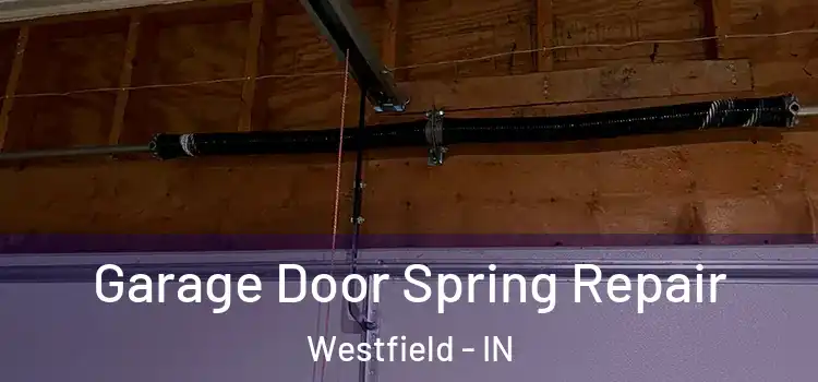  Garage Door Spring Repair Westfield - IN