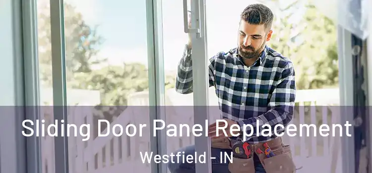 Sliding Door Panel Replacement Westfield - IN