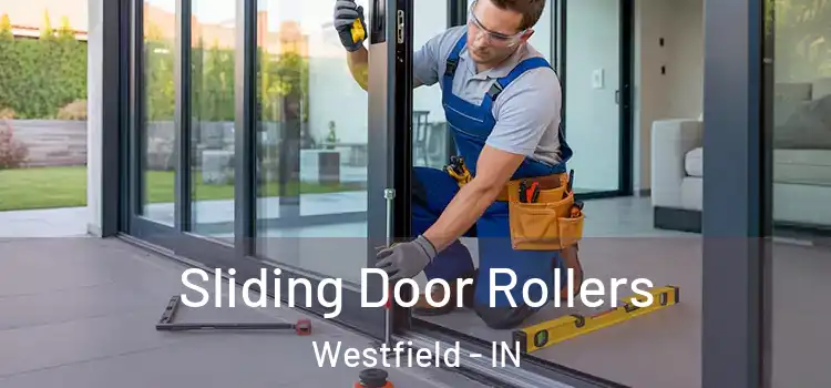  Sliding Door Rollers Westfield - IN